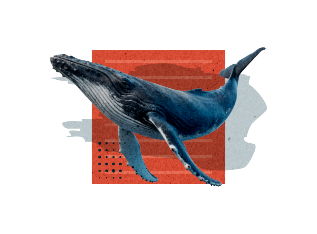 WHALE
